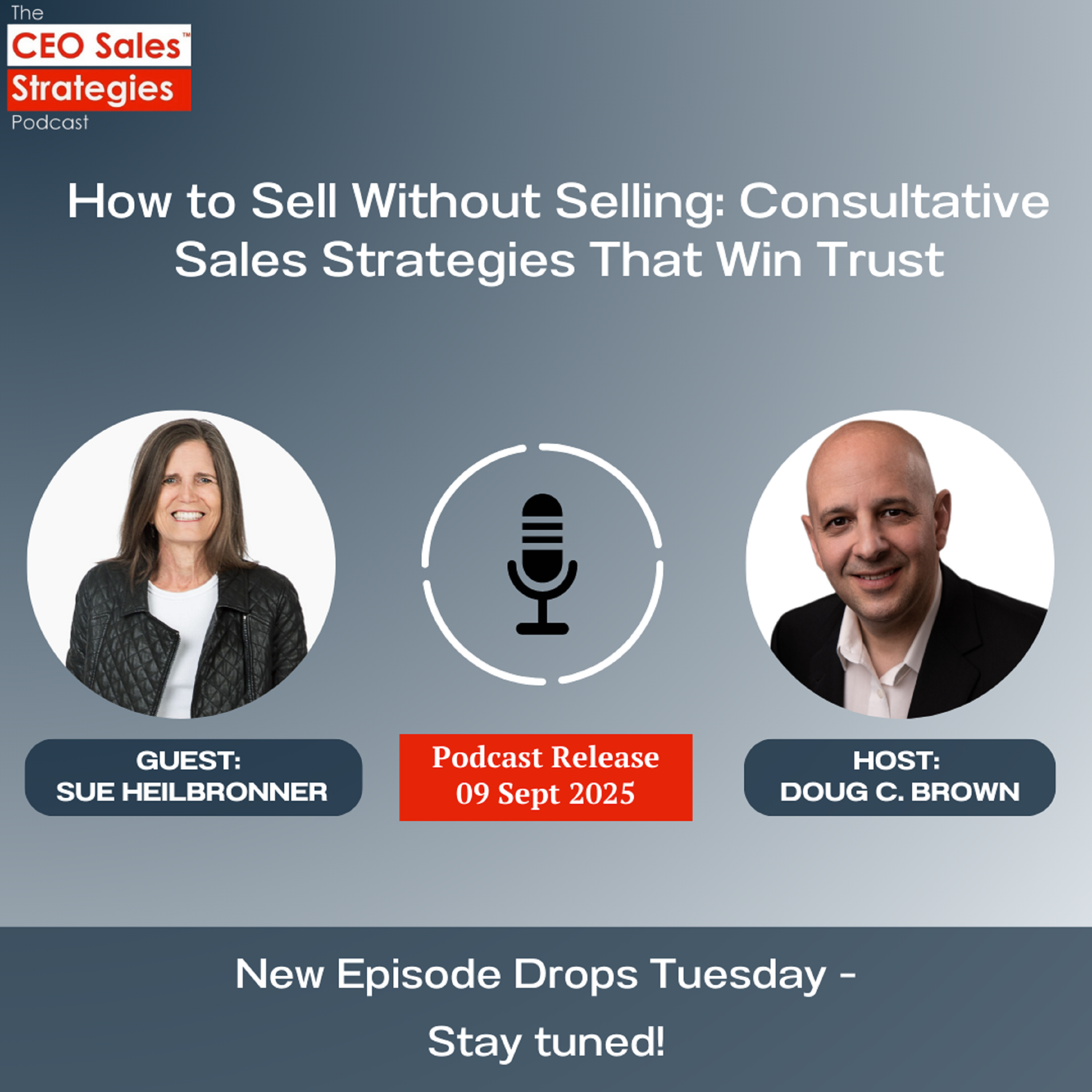 CEO Sales Strategies