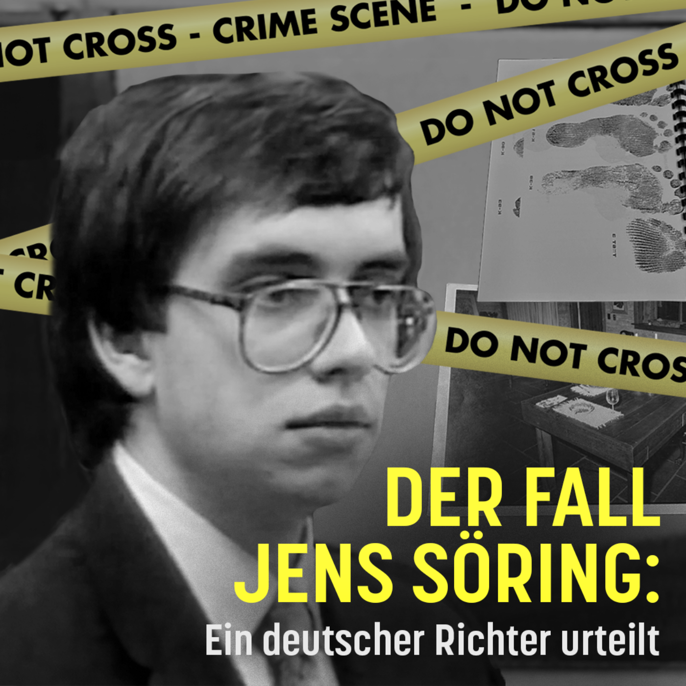 Der Fall Jens Söring: Ein deutscher Richter urteilt podcast artwork