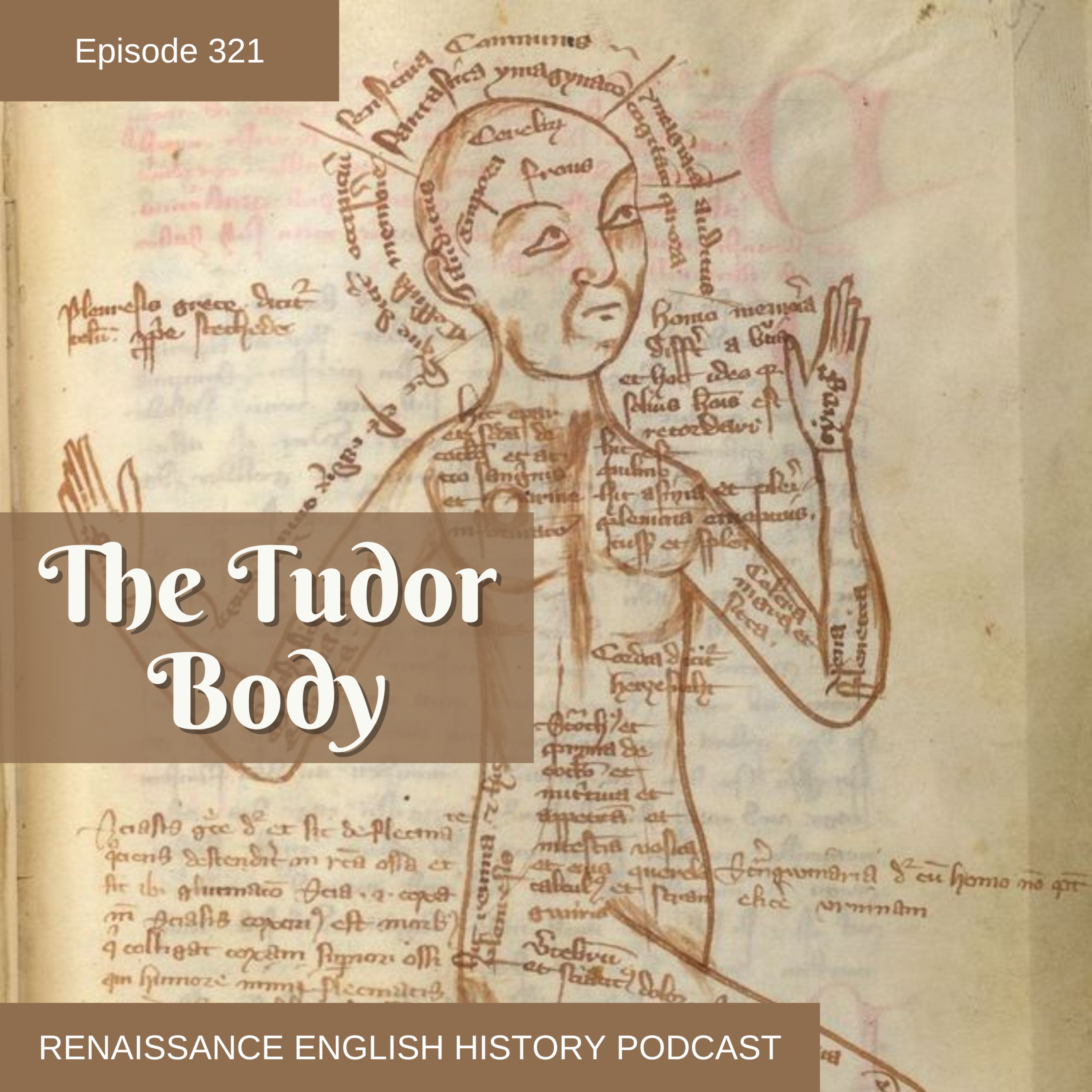 Episode 321: The Tudor Body: Health, Illness, and Balance in Tudor England