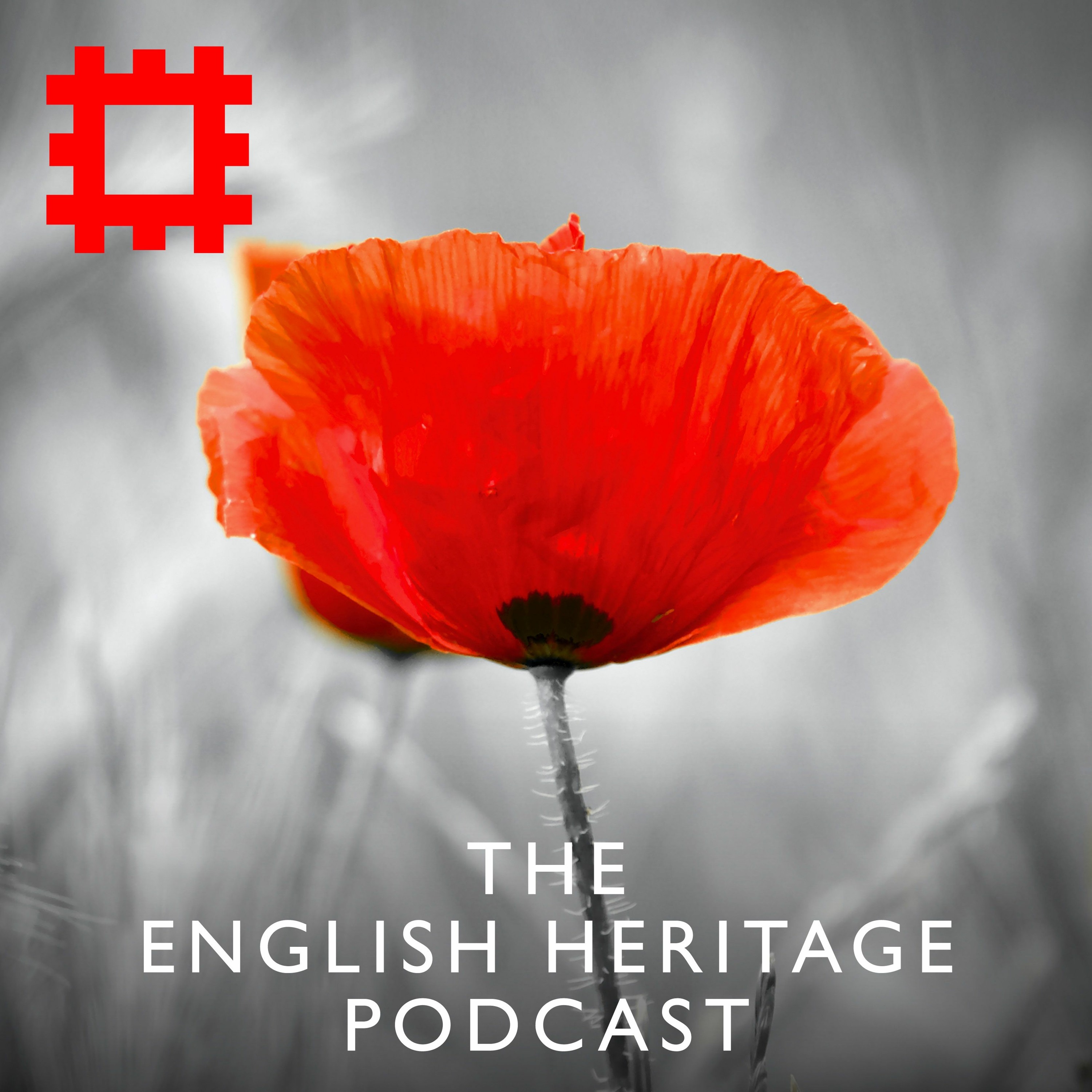 Episode 137 - The history of Poppy Day