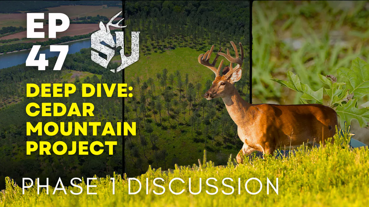 Cedar Mountain Project Follow Up episode artwork