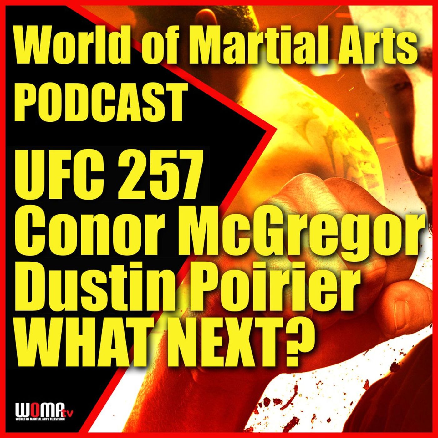 World of Martial Arts Show