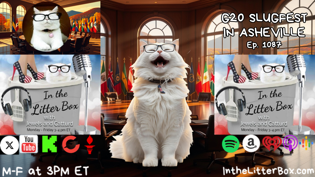 G20 SLUGFEST IN ASHEVILLE | In the Litter Box w/ Jewels & Catturd – Ep. 1087 – 9/1/2026