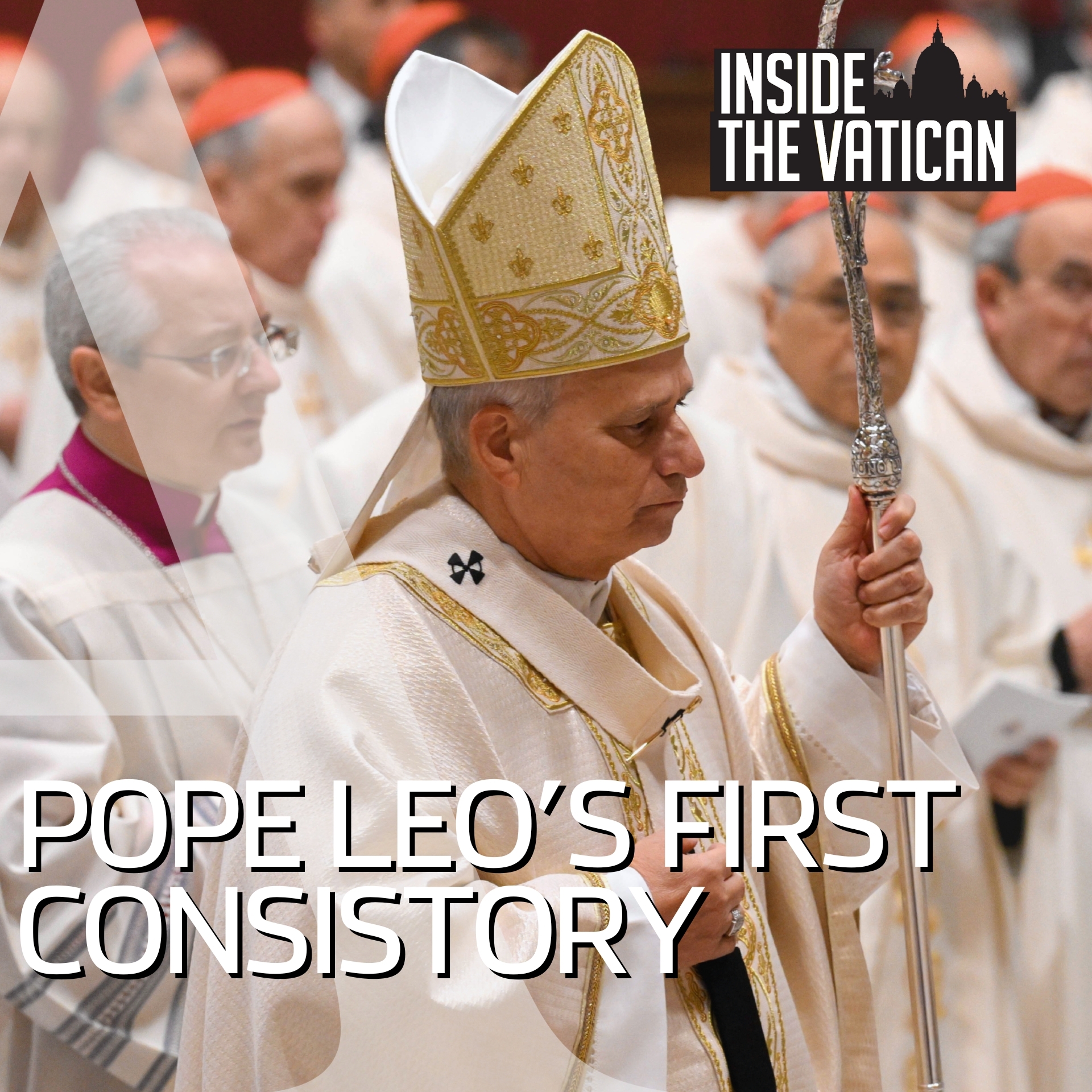What we learned from Pope Leo’s first consistory