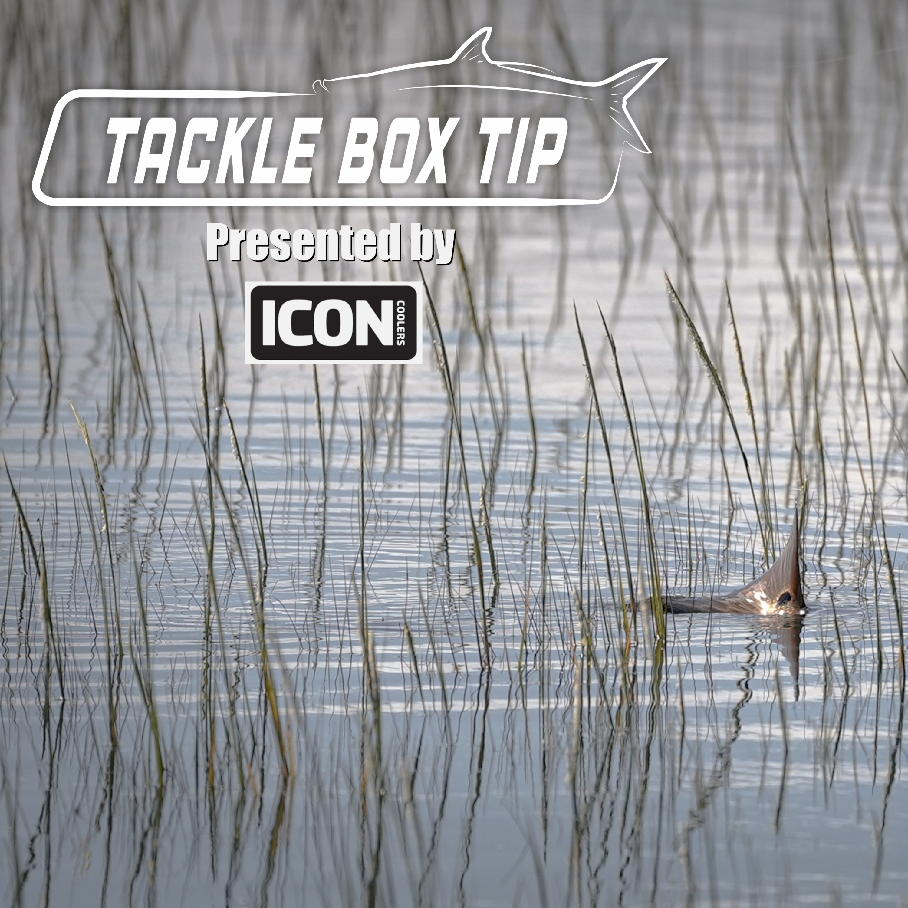 The Captain\'s Log Radio