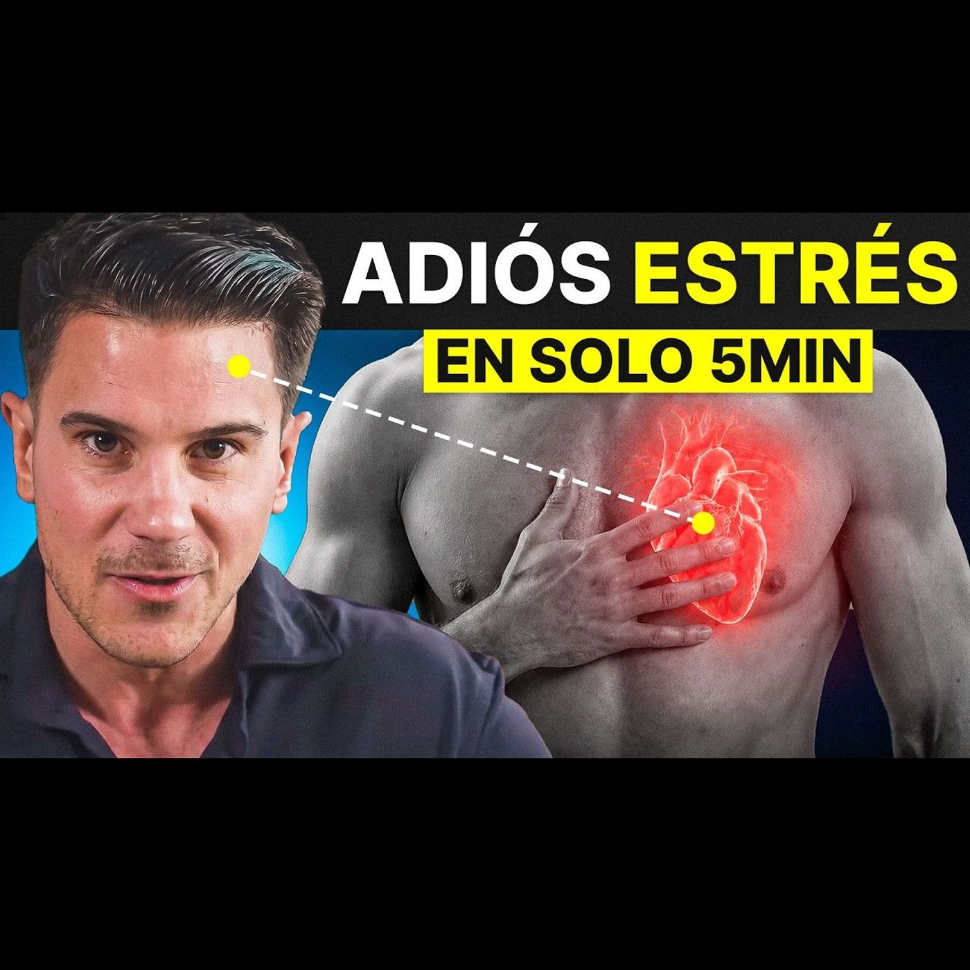 Esto es lo que Sucede cuando tu Corazón Se Sincroniza con tu Mente