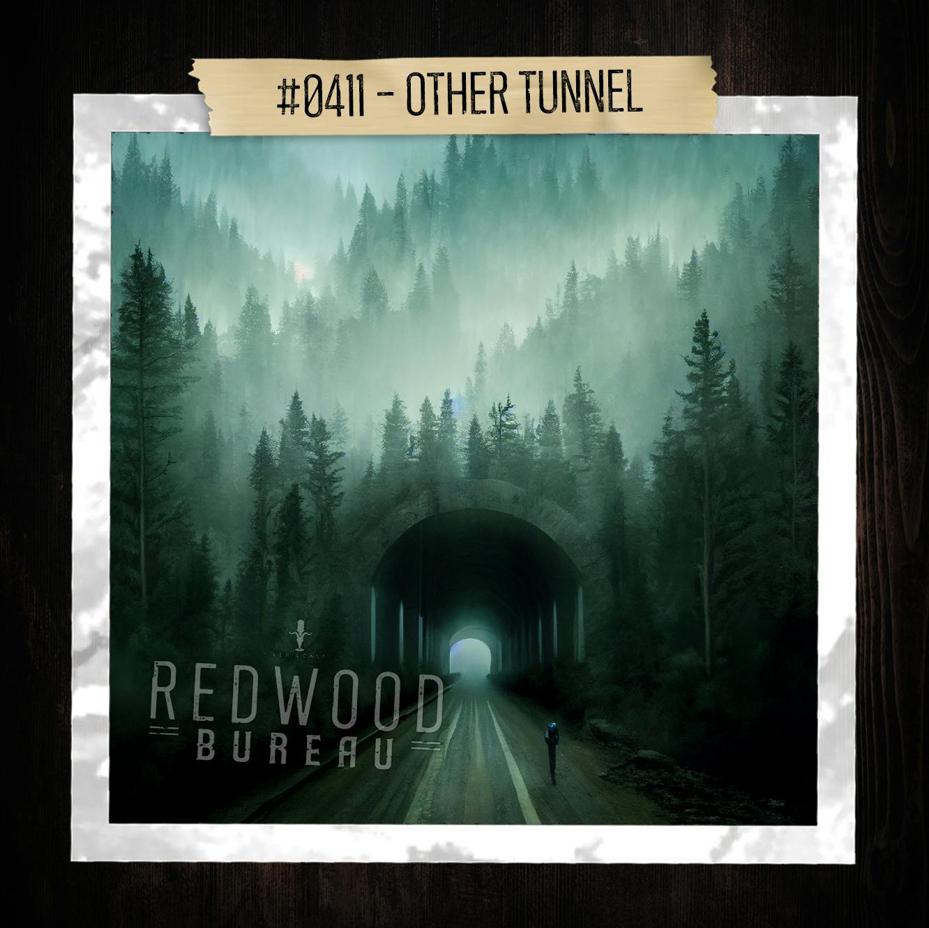 "OTHER TUNNEL" - Redwood Bureau Phenomenon #0411