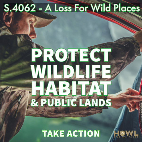 The Western Hunting Podcast