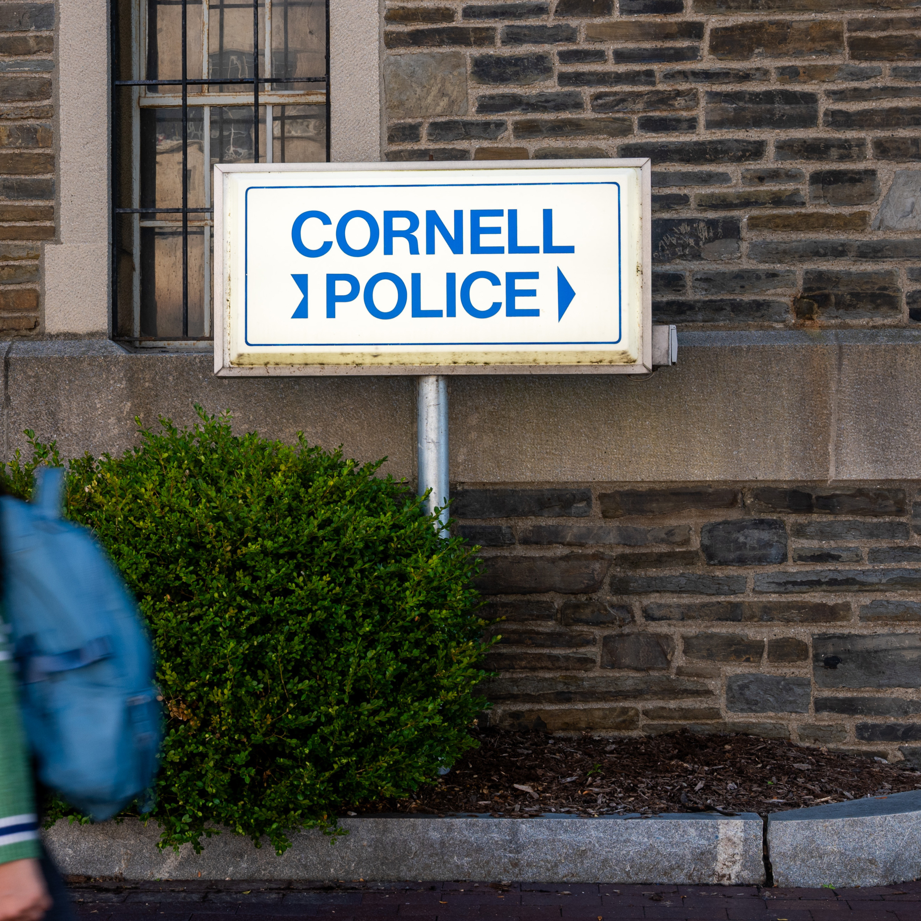 What happened at Cornell