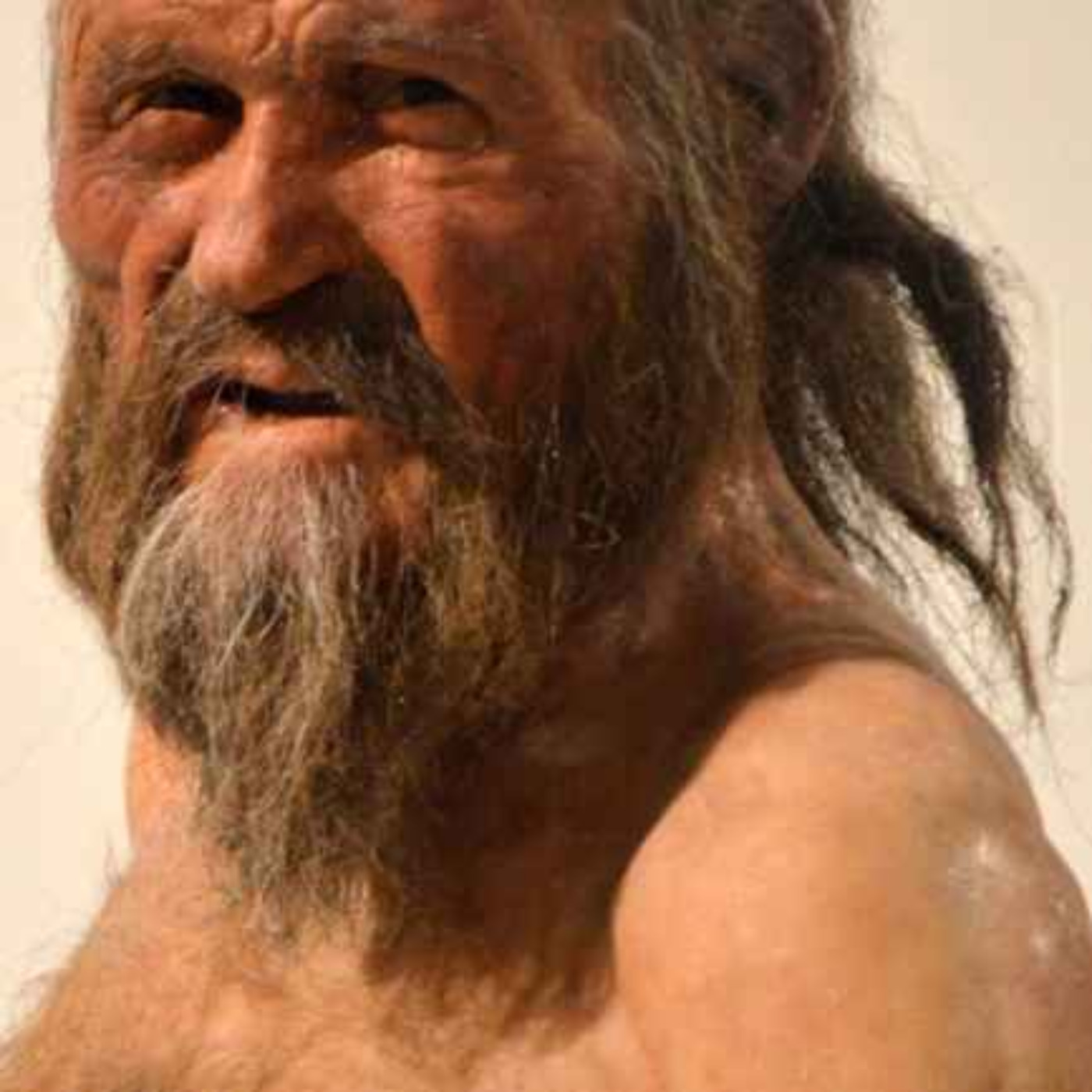 Discovering The Iceman