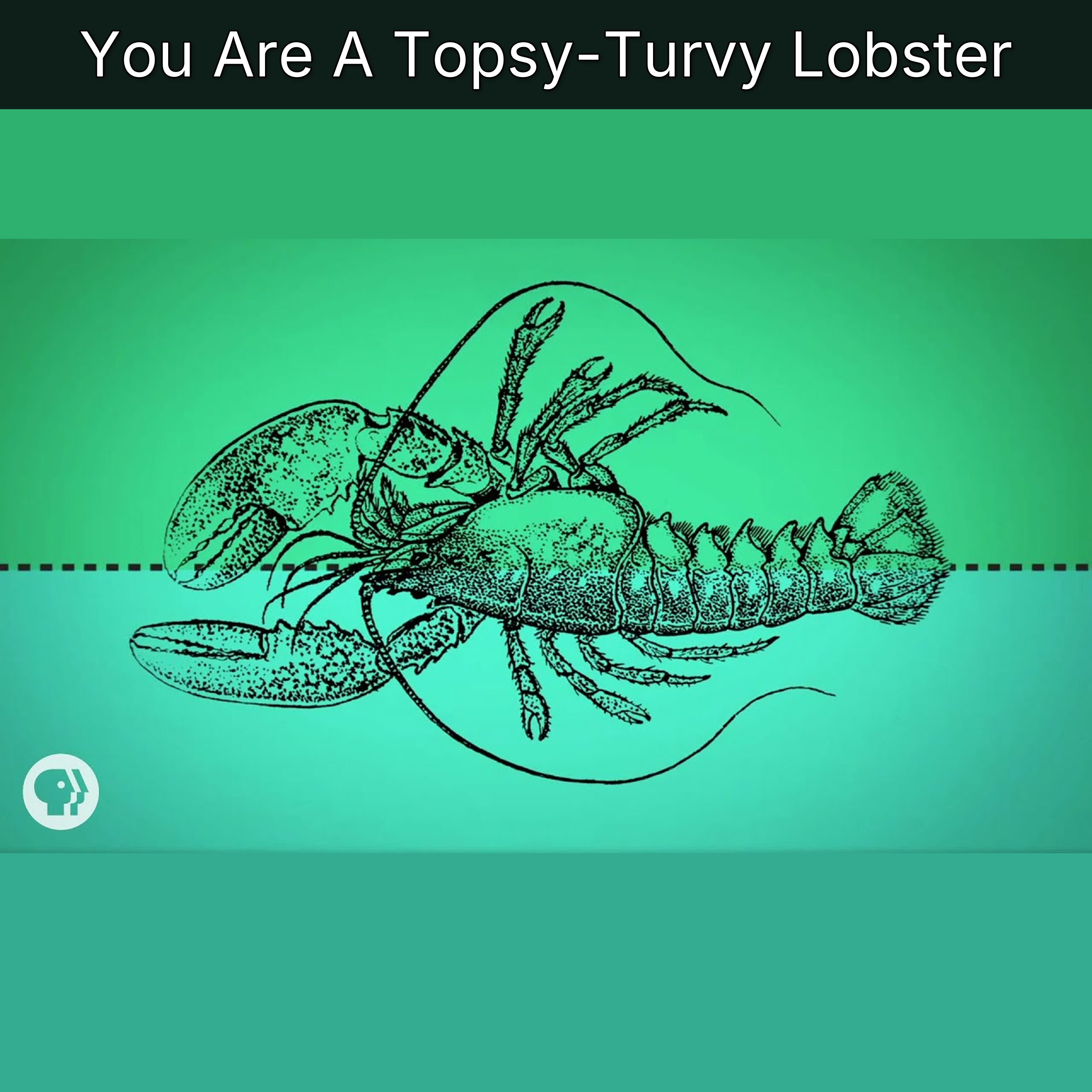You Are A Topsy-Turvy Lobster episode artwork
