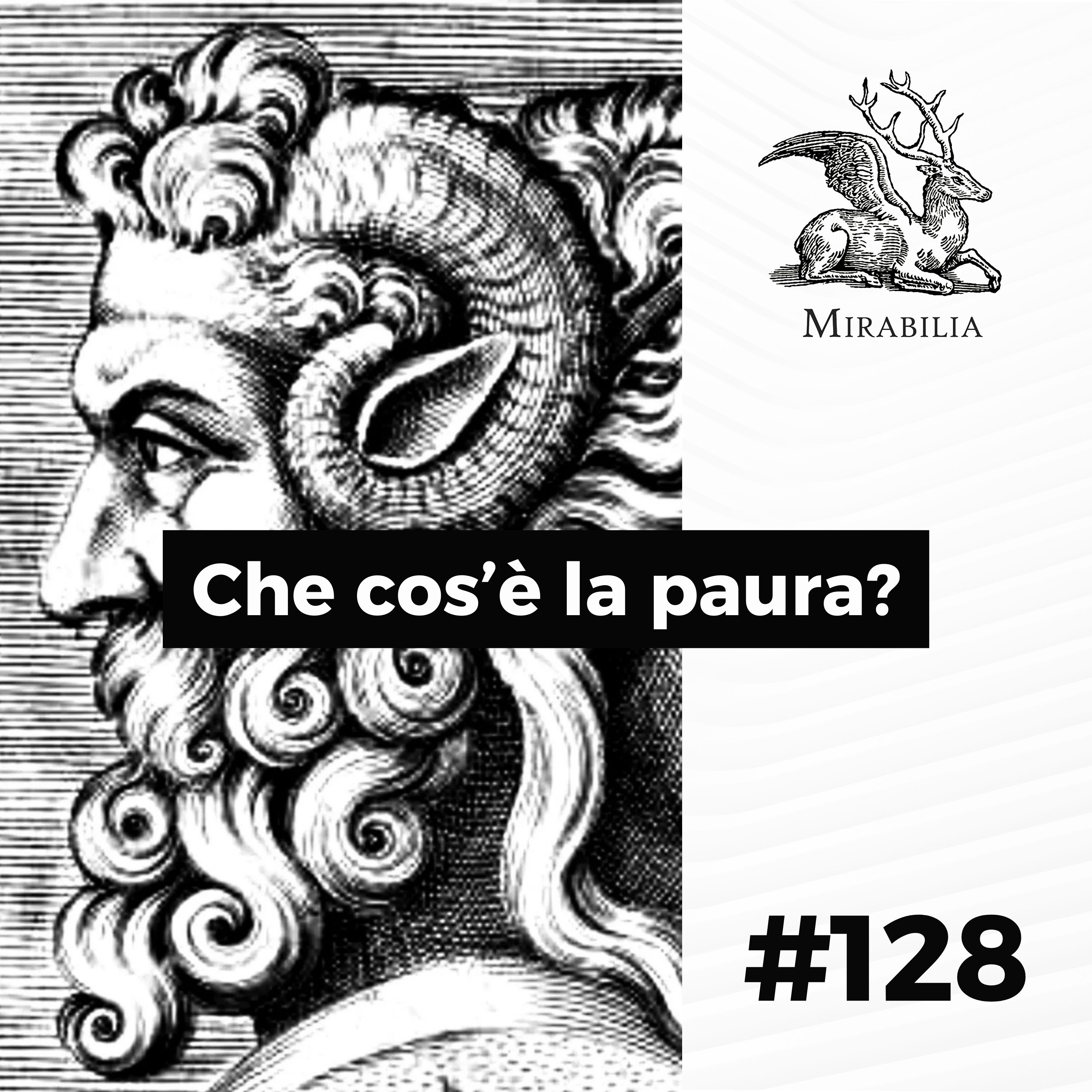 128. Che cos'è la paura?