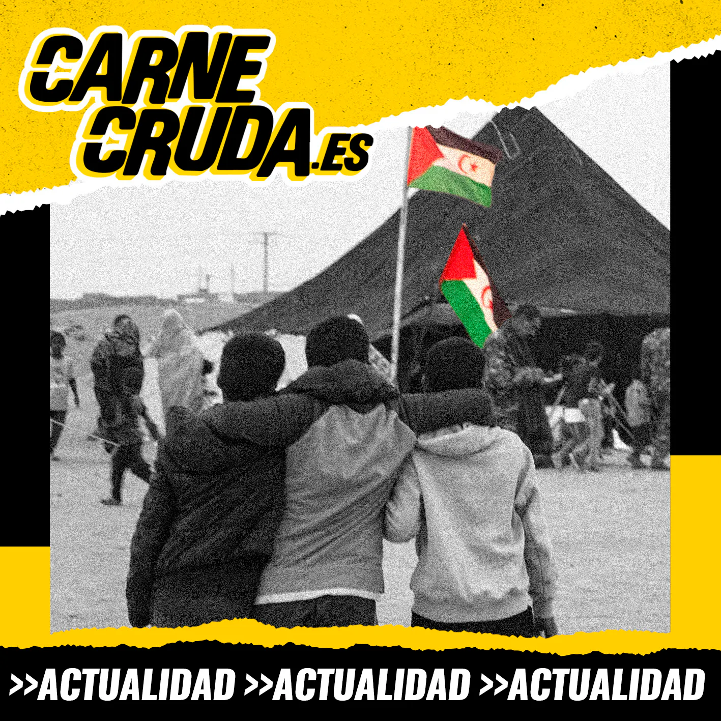 ¿Por qué Gaza sí y el Sáhara no? (CARNE CRUDA TOUR #1687) episode artwork