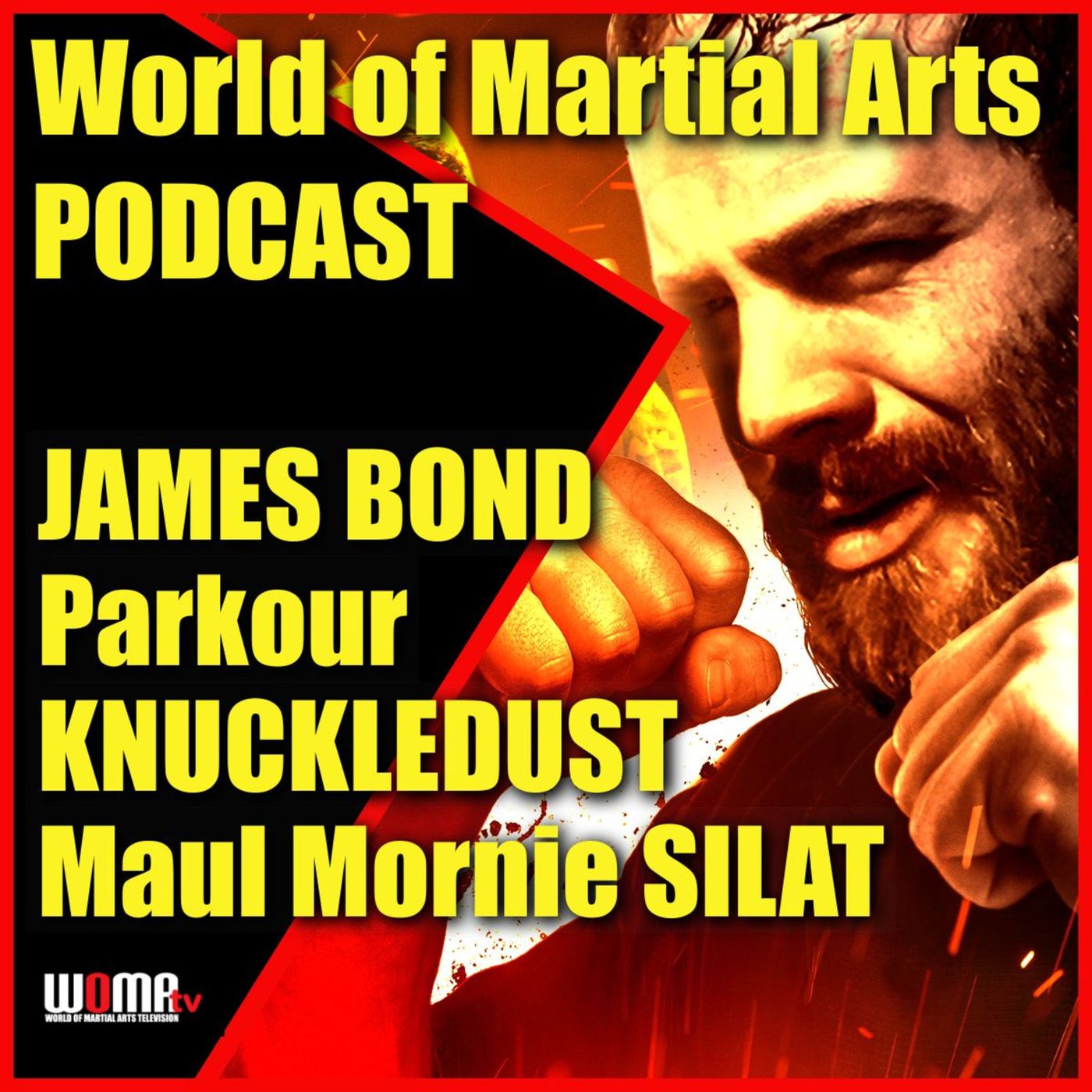 World of Martial Arts Show