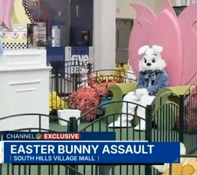 Mall Easter Bunny Got Sexually Assaulted While In Costume  | 4.7.26