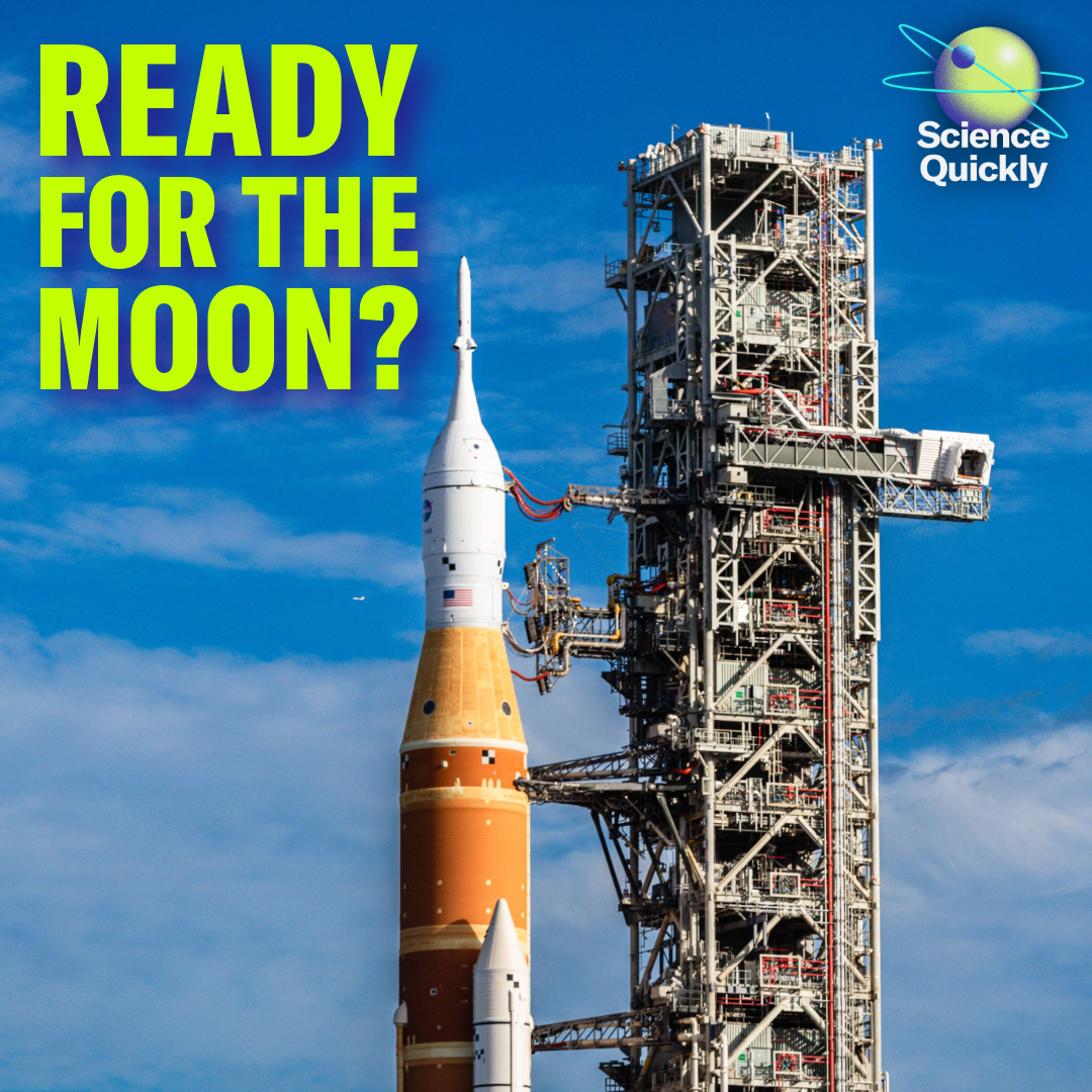 A historic moon mission, AI that helps restore stroke patients’ voice and the oldest cave art ever found