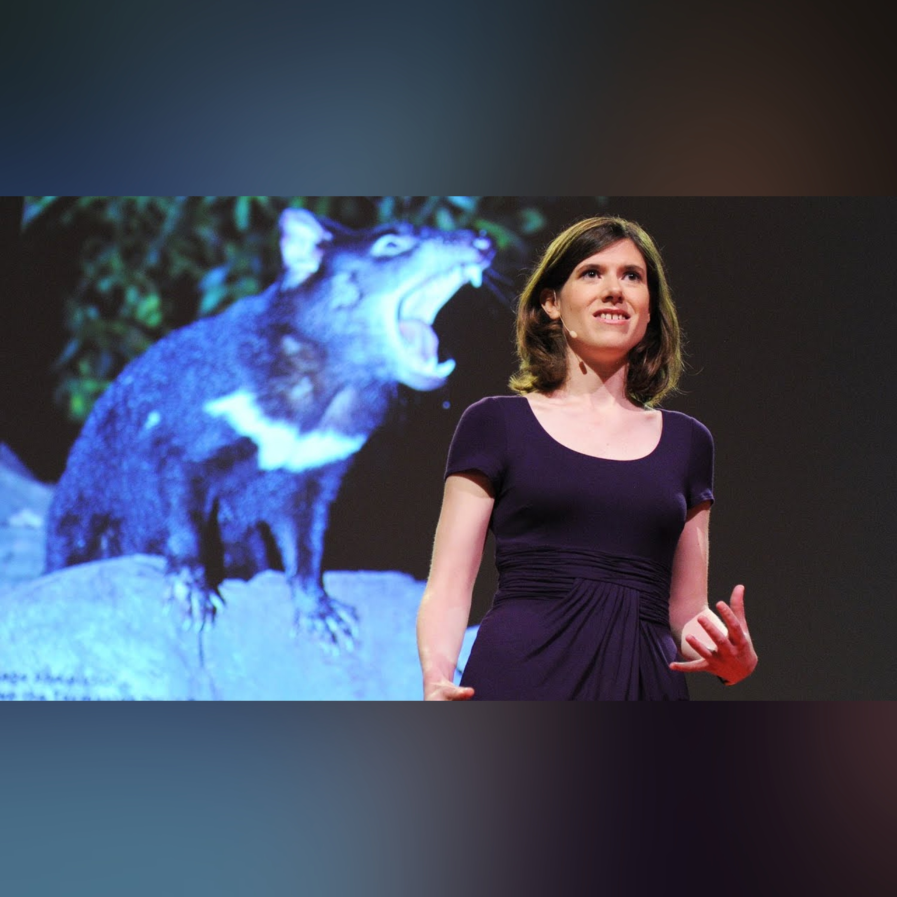 Fighting a contagious cancer - Elizabeth Murchison