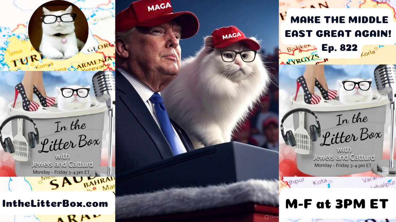 MAKE THE MIDDLE EAST GREAT AGAIN! | In the Litter Box w/ Jewels & Catturd – Ep. 822 – 6/16/2025