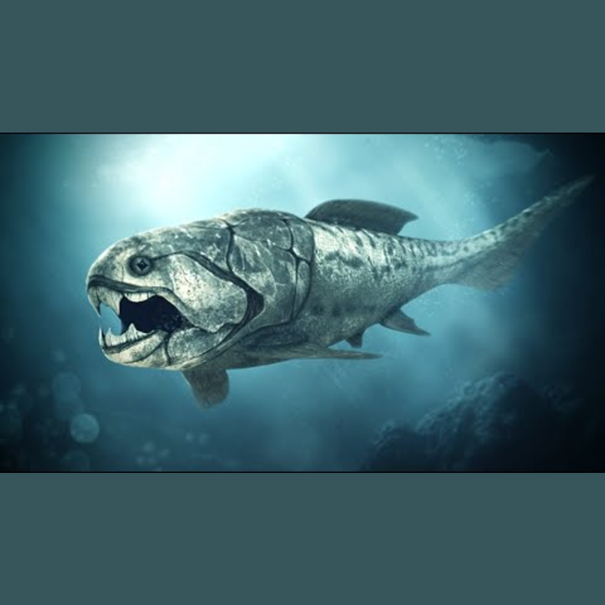 Dunkleosteus - Ancient Animal episode artwork