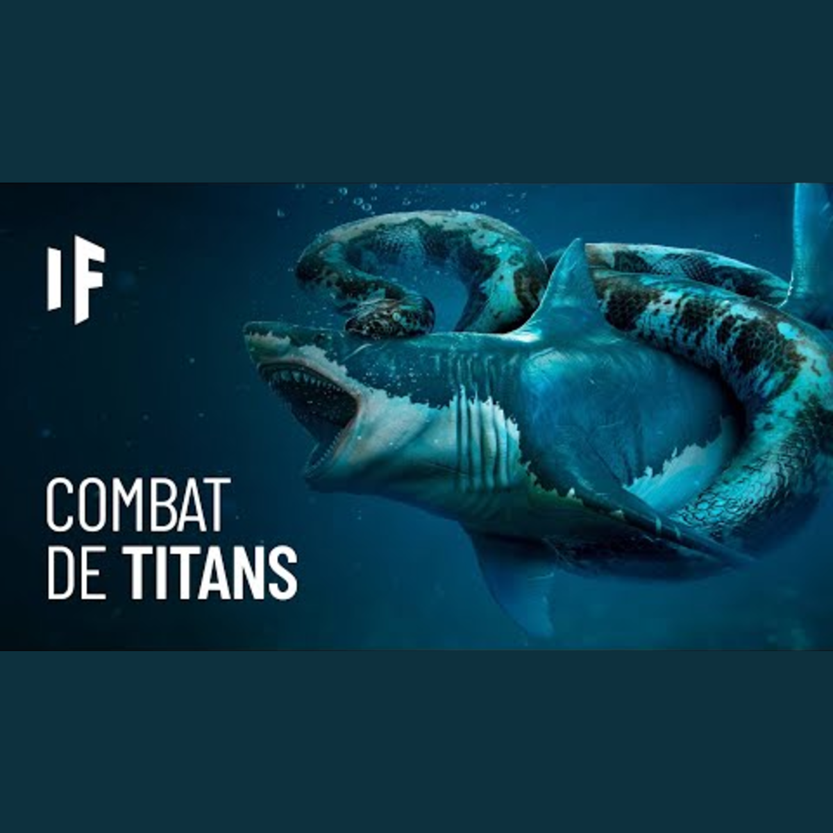 What If Français - Et Si