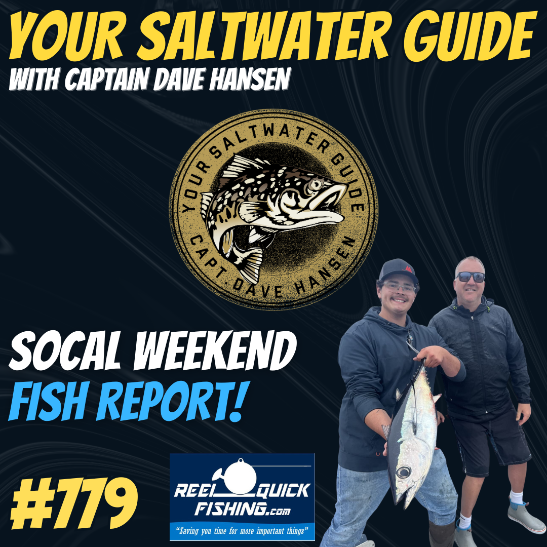 SoCal Weekend Albacore Report with Captain Dave! #779