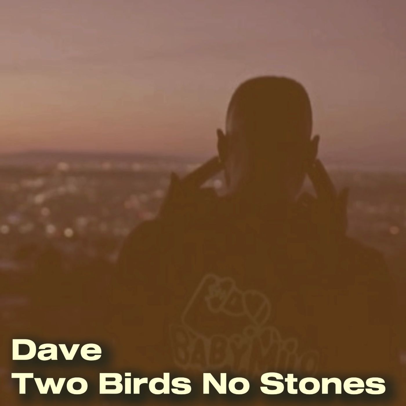 Dave - Two Birds No Stones episode artwork