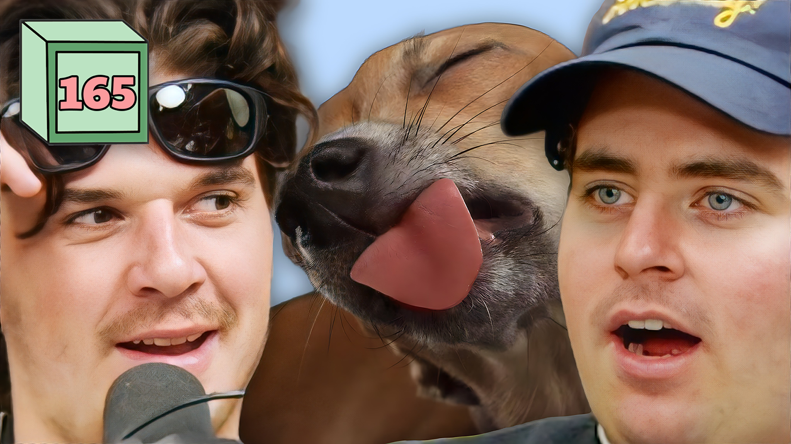 a dog licked my WHAT