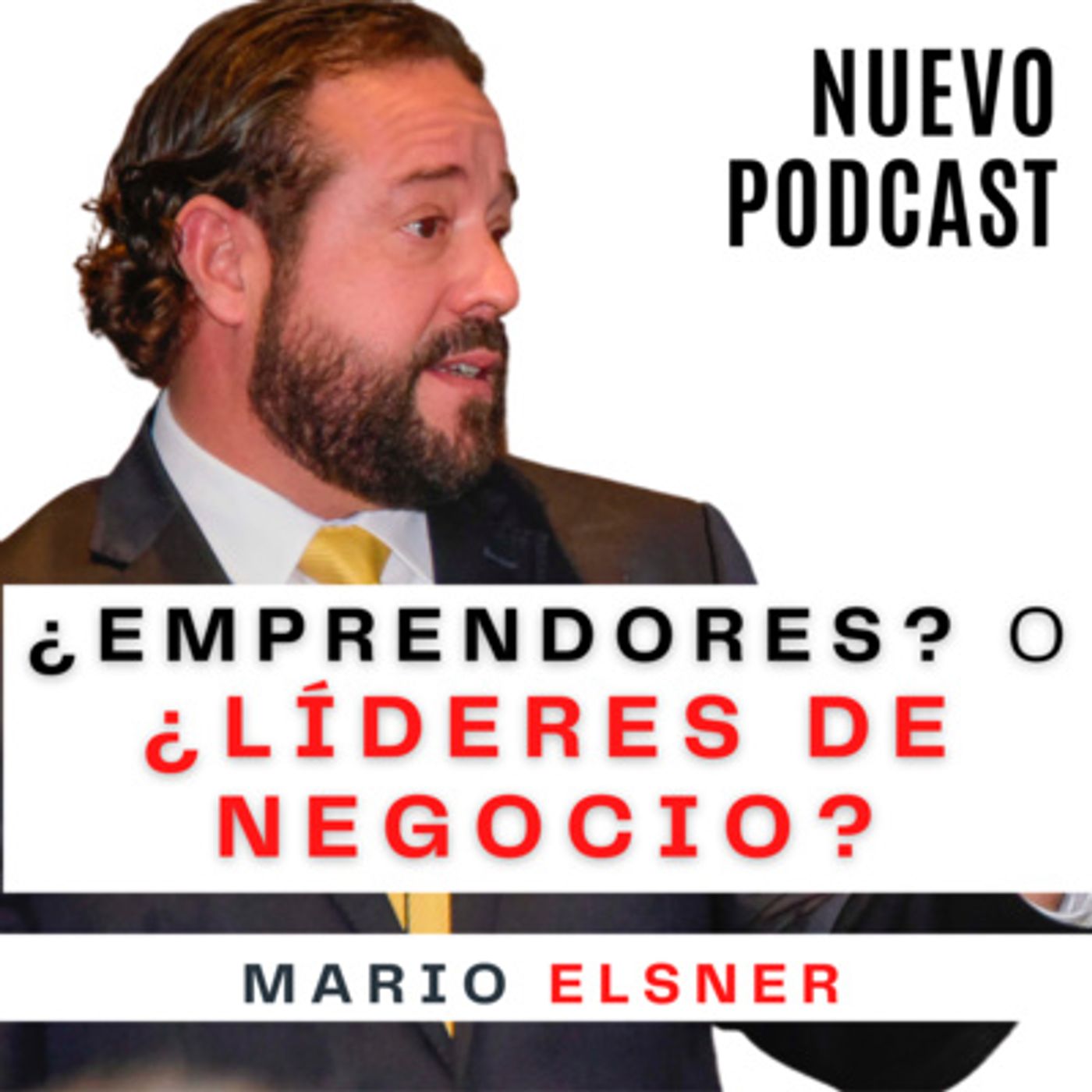 Portada de ¿Cómo lo haría un DIRECTOR?