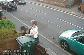 Cat Bin Lady, Internet Villain