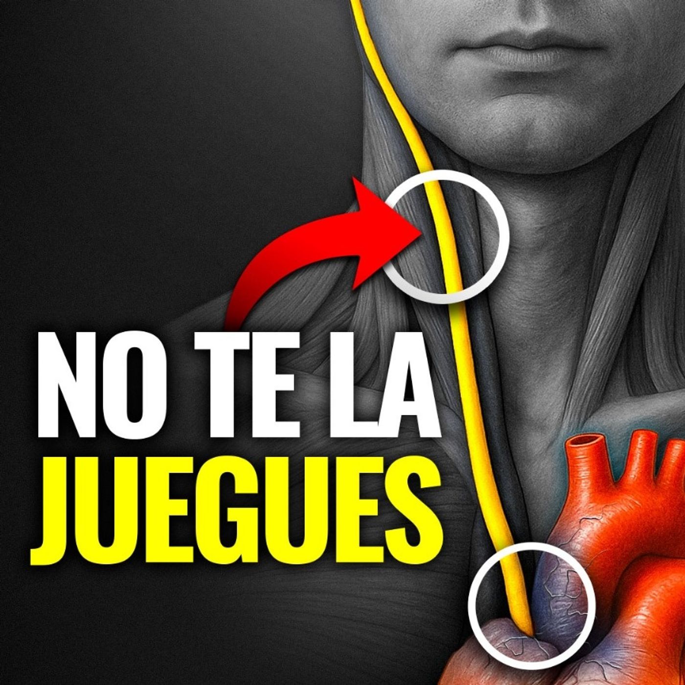 ¡CUIDADO! El PELIGRO OCULTO de Estimular el NERVIO VAGO (Evita ESTOS 5 Errores FATALES)