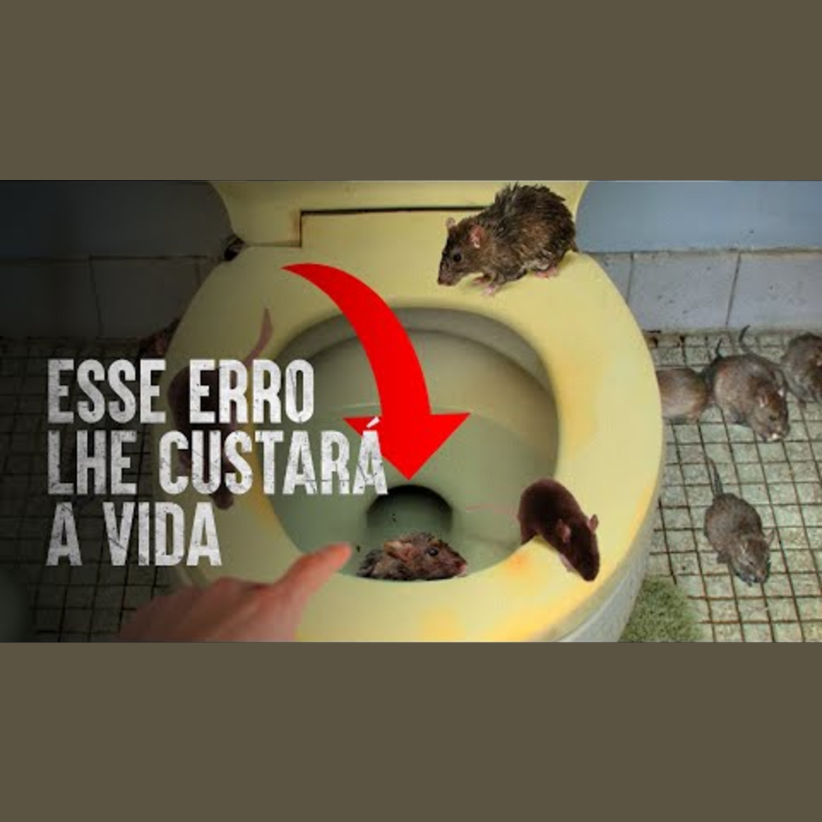 Como Sobreviver