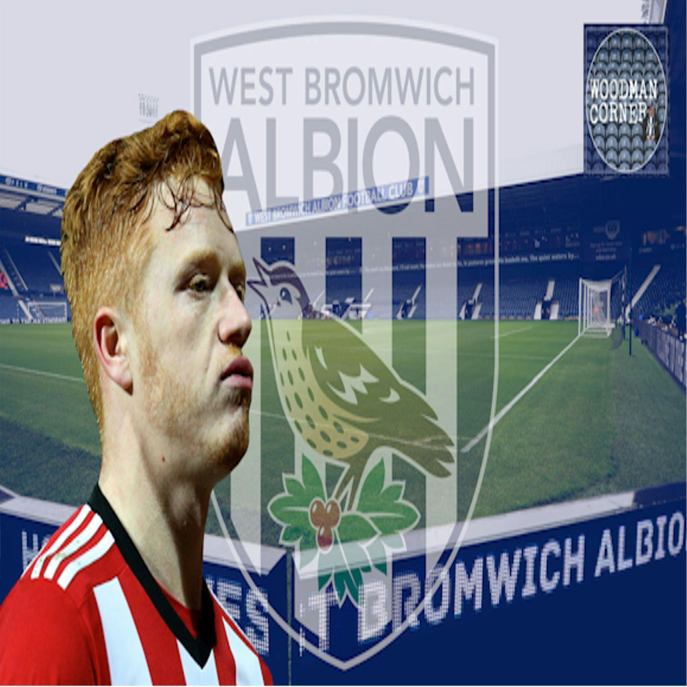 Brentford duo assessed