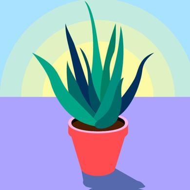 Elezioni che riscrivono la Storia: la frattura turca, il gigante indiano, la protesta israeliana