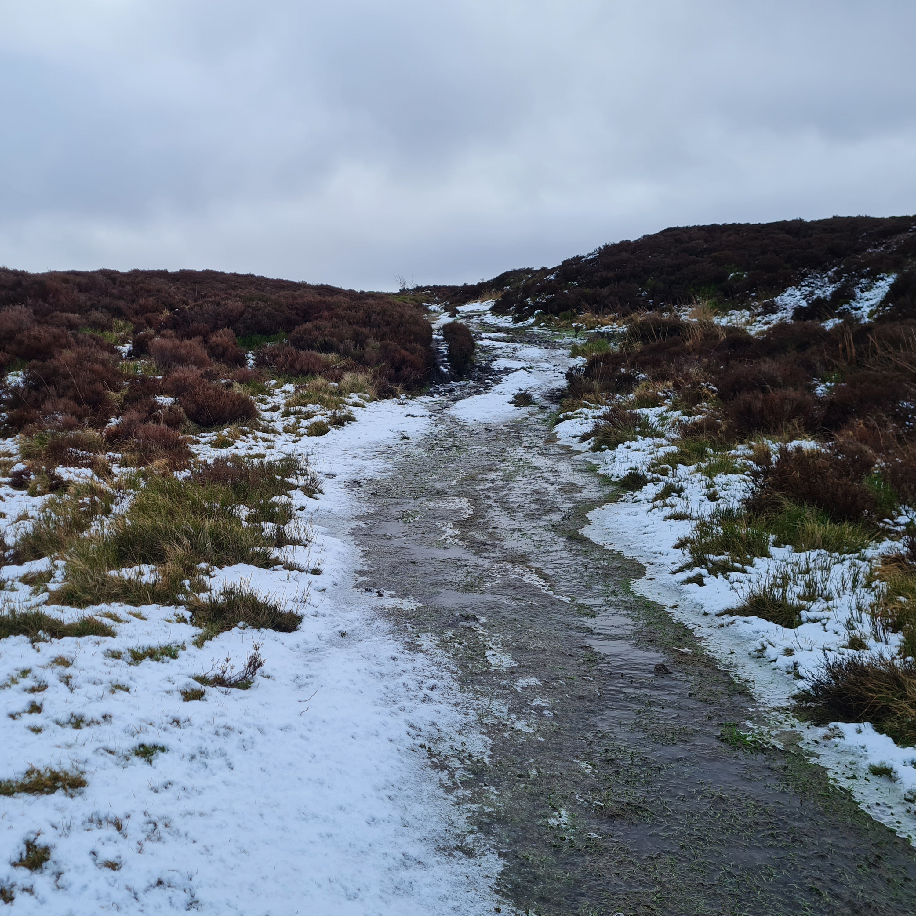 Sound Escape 161. The satisfying crunch of footsteps on fresh snow