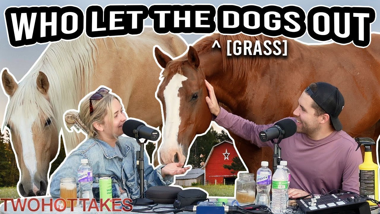 78: Who Let the [Grass] Dogs Out?