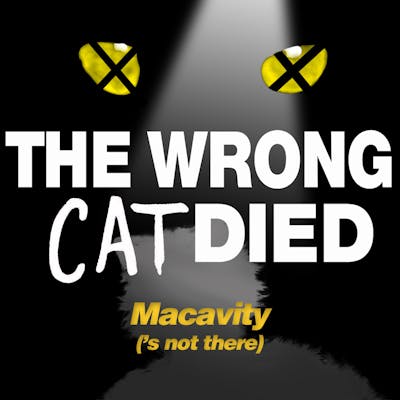 Ep9 - Macavity ('s not there)
