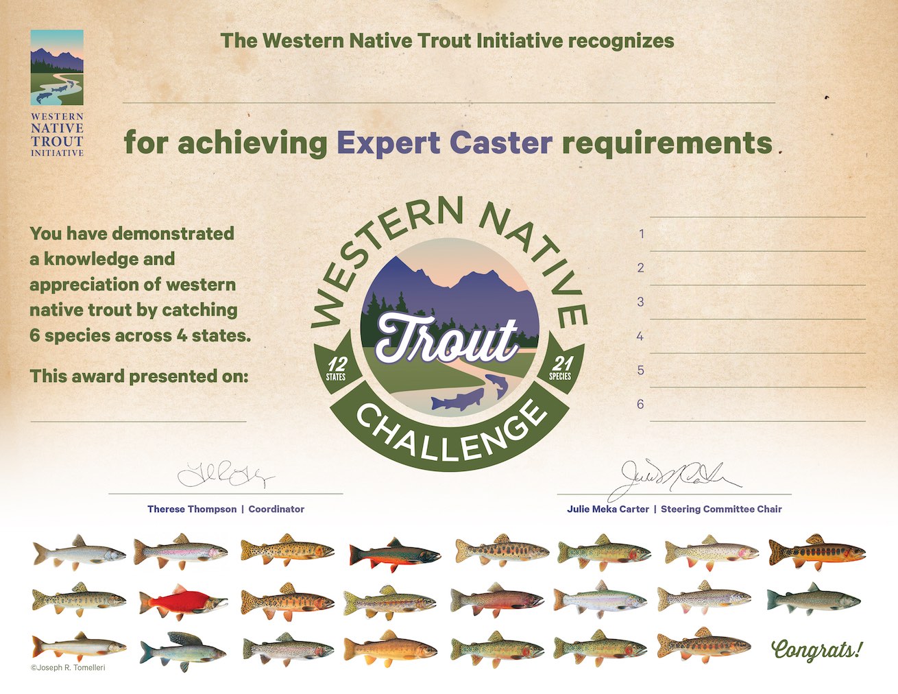 Fly Fishing Consultant Podcast