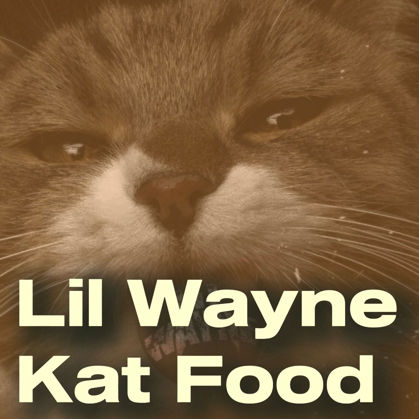 Lil Wayne - Kat Food episode artwork