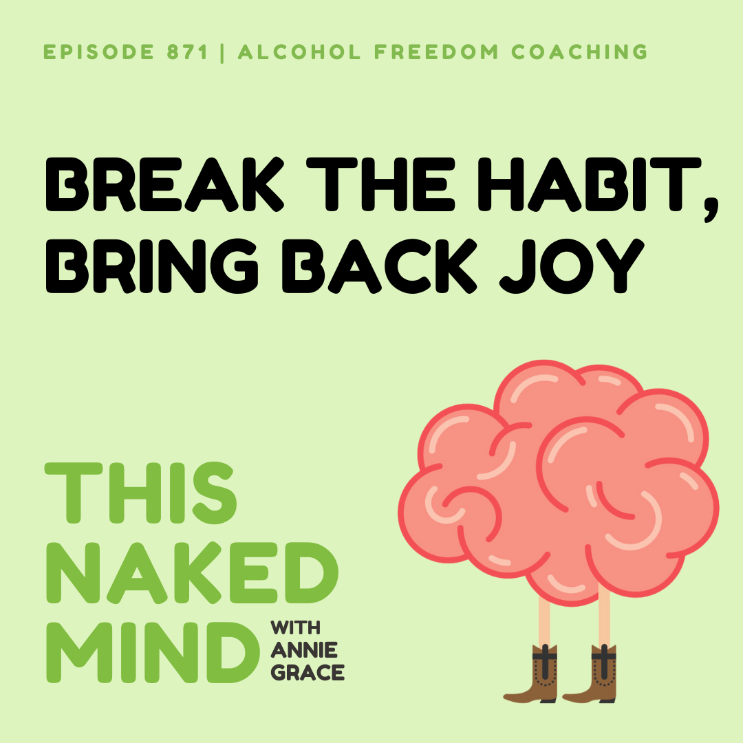 Break The Habit, Bring Back Joy | Alcohol Freedom Coaching | E871