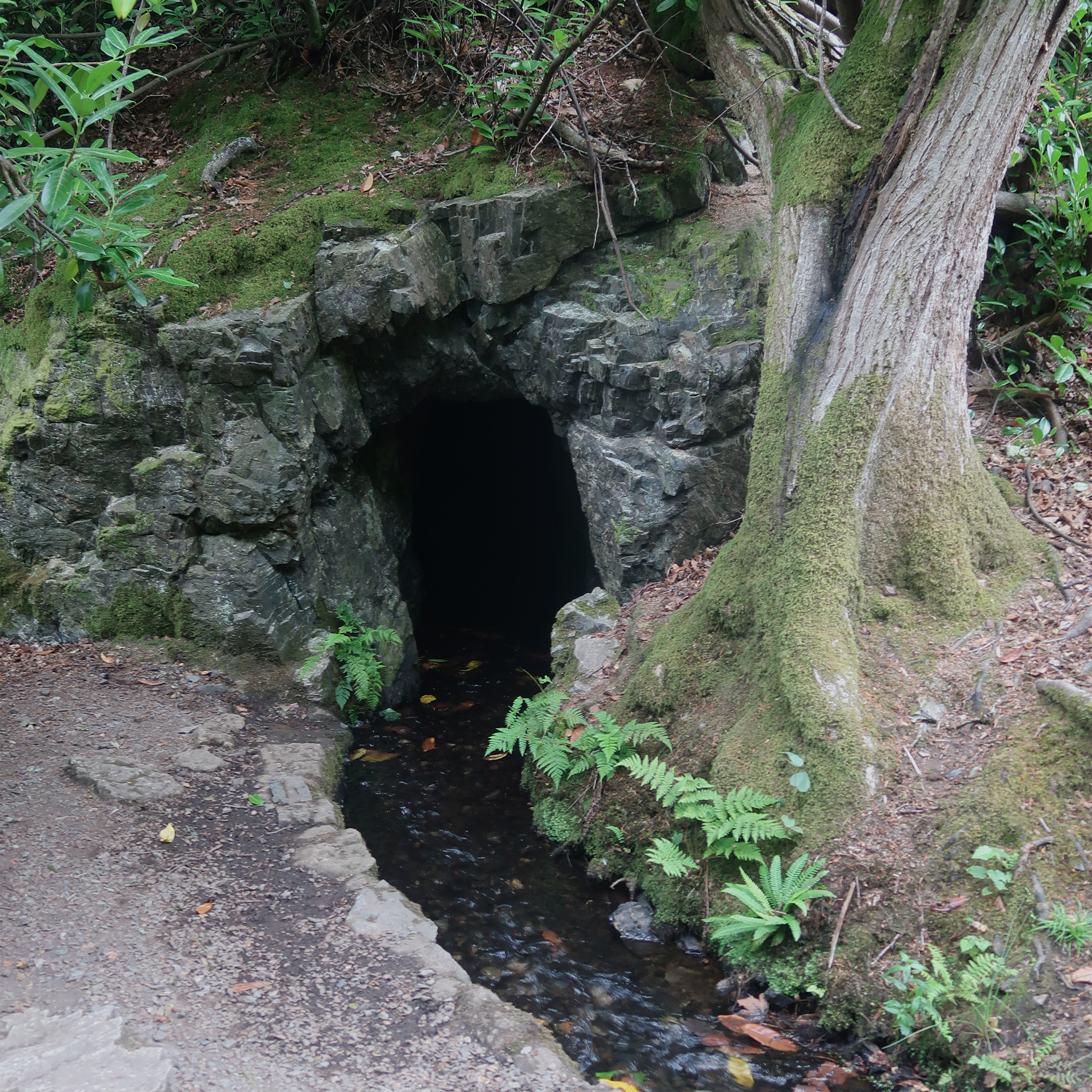 Sound Escape 187. Take a break next to a rushing Dartmoor stream