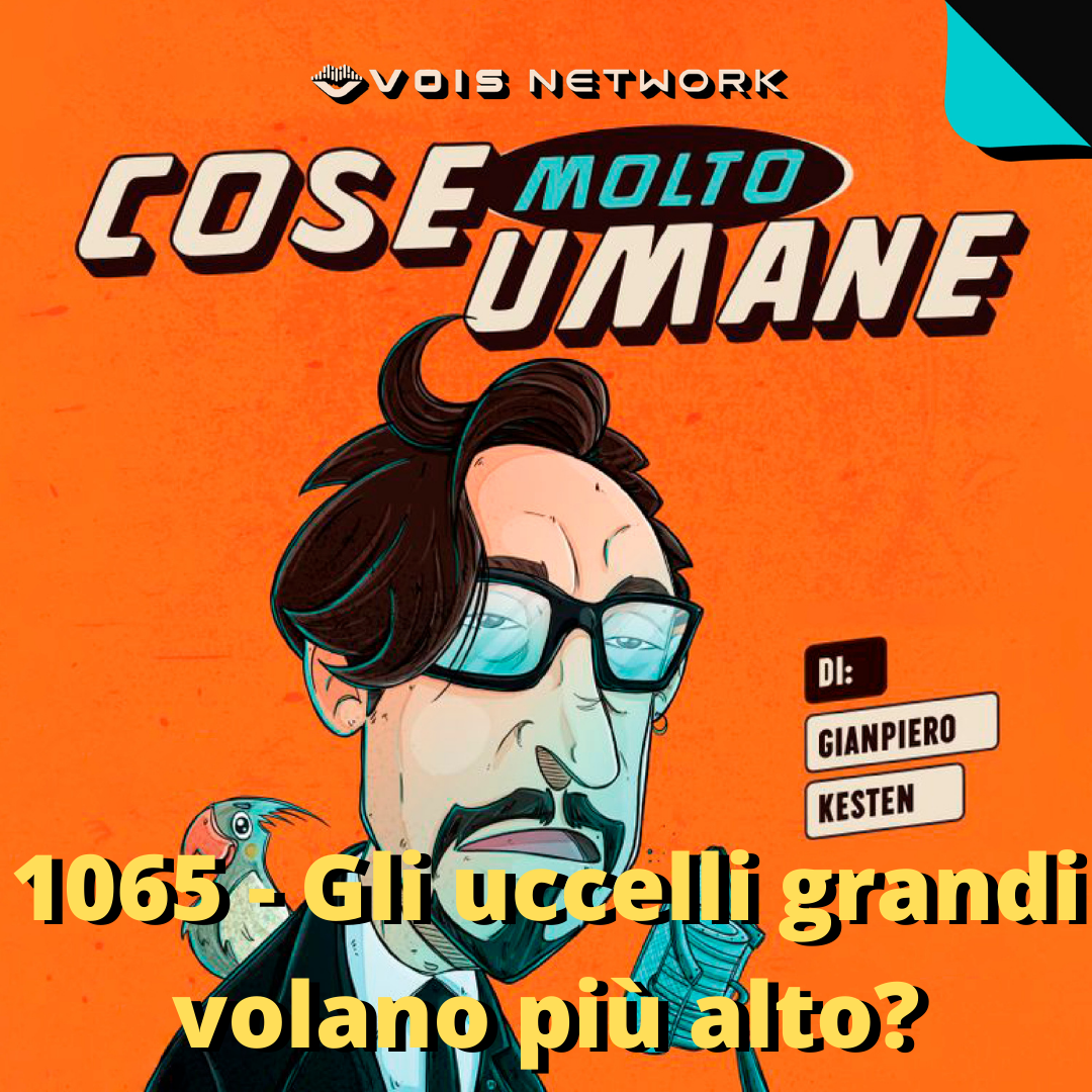 1065 - Gli uccelli grandi volano più alto?