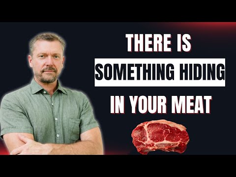 Hidden "Fiber" in the Carnivore Diet! (Gut Bacteria Food in Meat) 2025