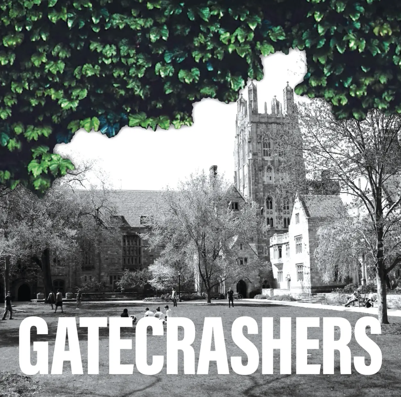Gatecrashers