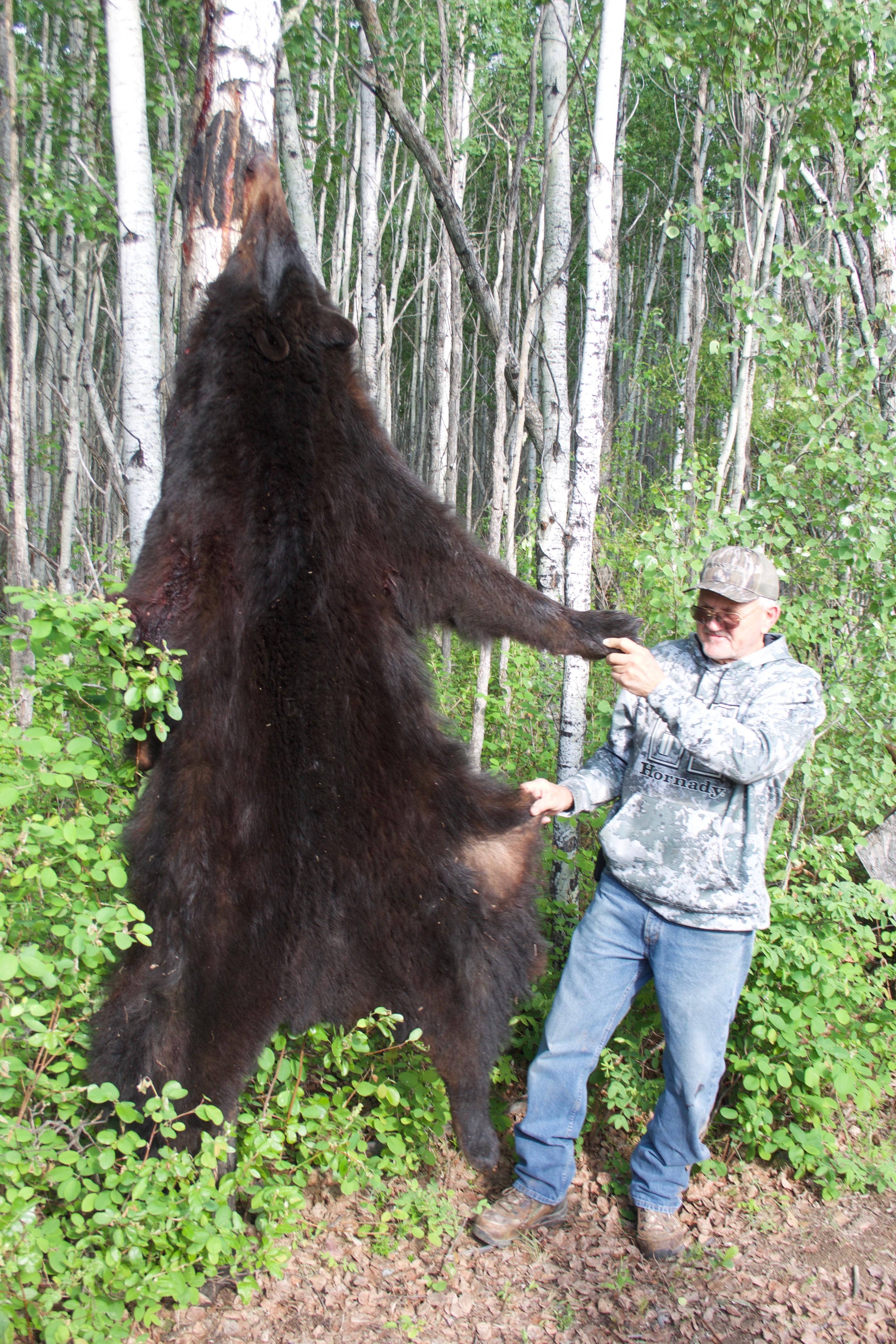 EP 249 Hunting Black Bear Randy Flannery Style