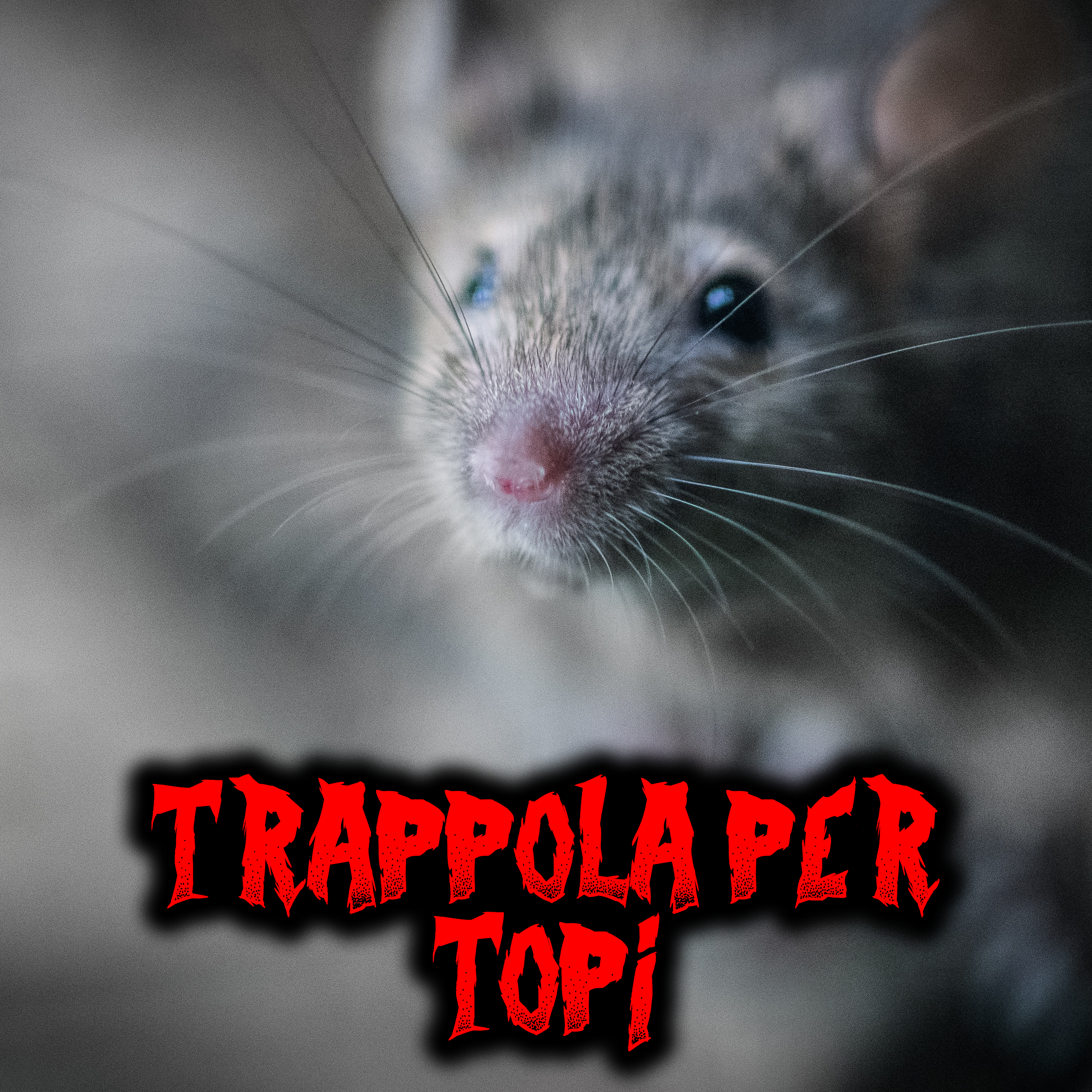 Trappola per topi - Racconti Horror episode artwork