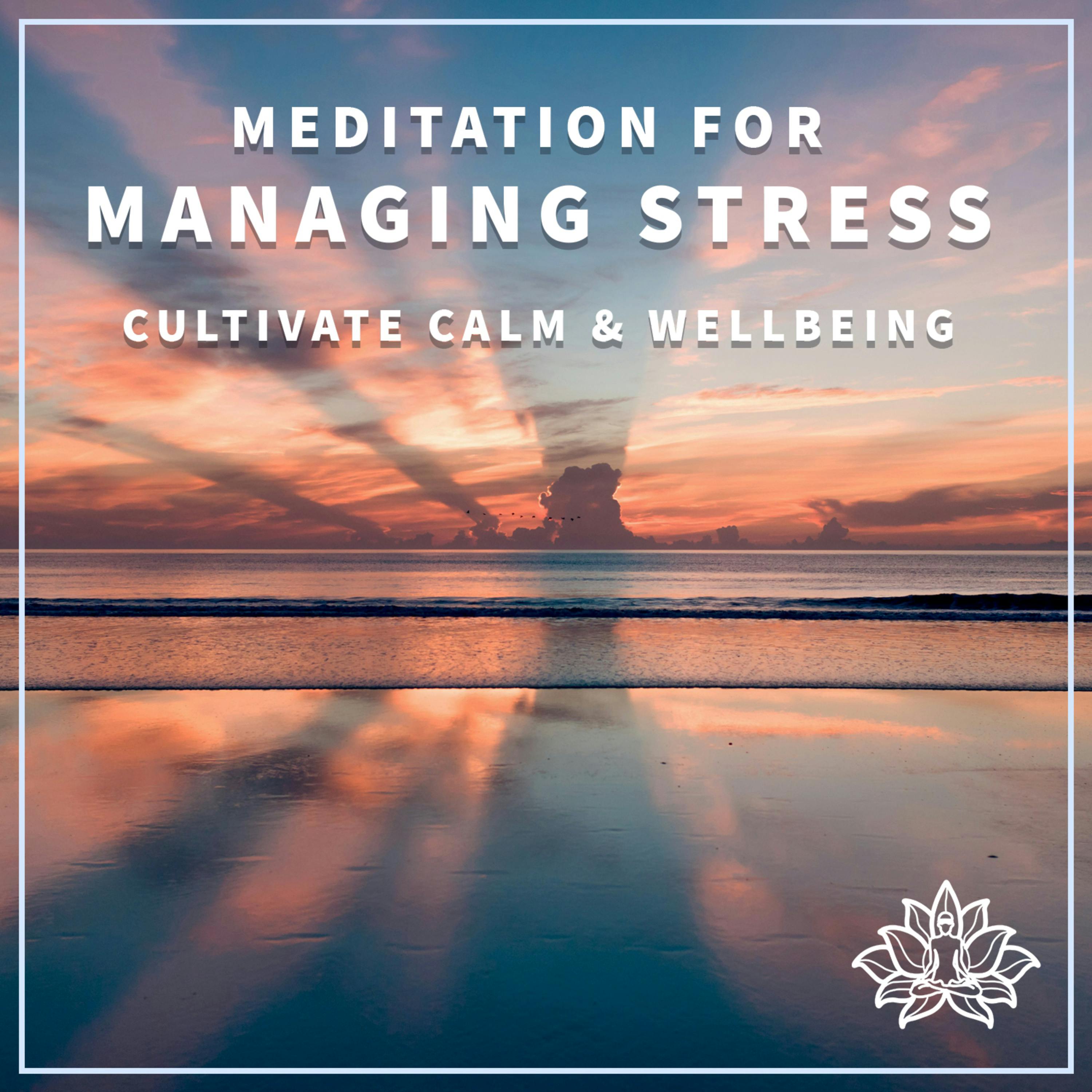 #17 MEDITATION FOR MANAGING STRESS - Cultivate Calm & Wellbeing ✨🙏