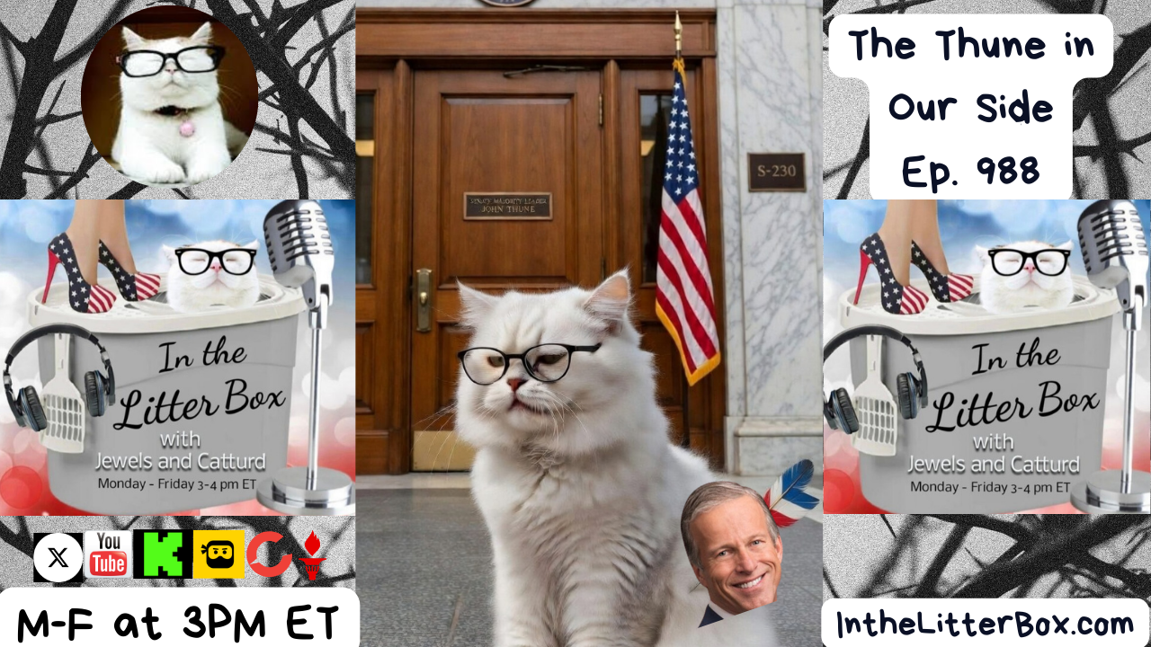 The Thune in Our Side | In the Litter Box w/ Jewels Jones & Catturd – Ep. 988 – 3/16/2026