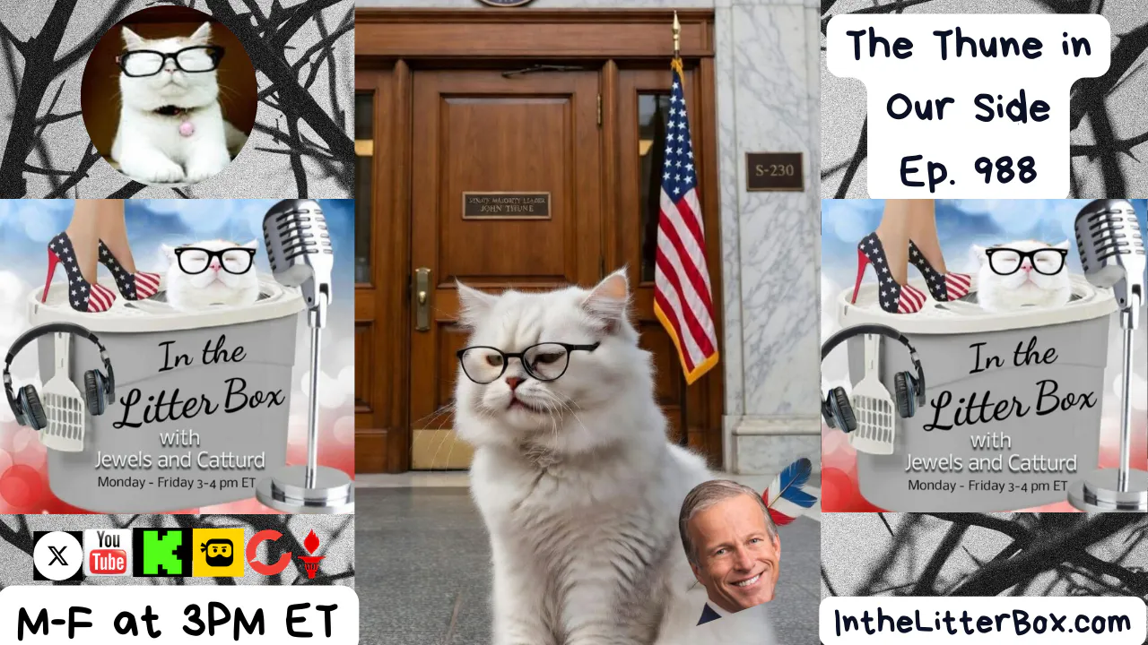 The Thune in Our Side | In the Litter Box w/ Jewels Jones & Catturd – Ep. 988 – 3/16/2026 The Thune in Our Side | In the Litter Box w/ Jewels Jones & Catturd – Ep. 988 – 3/16/2026