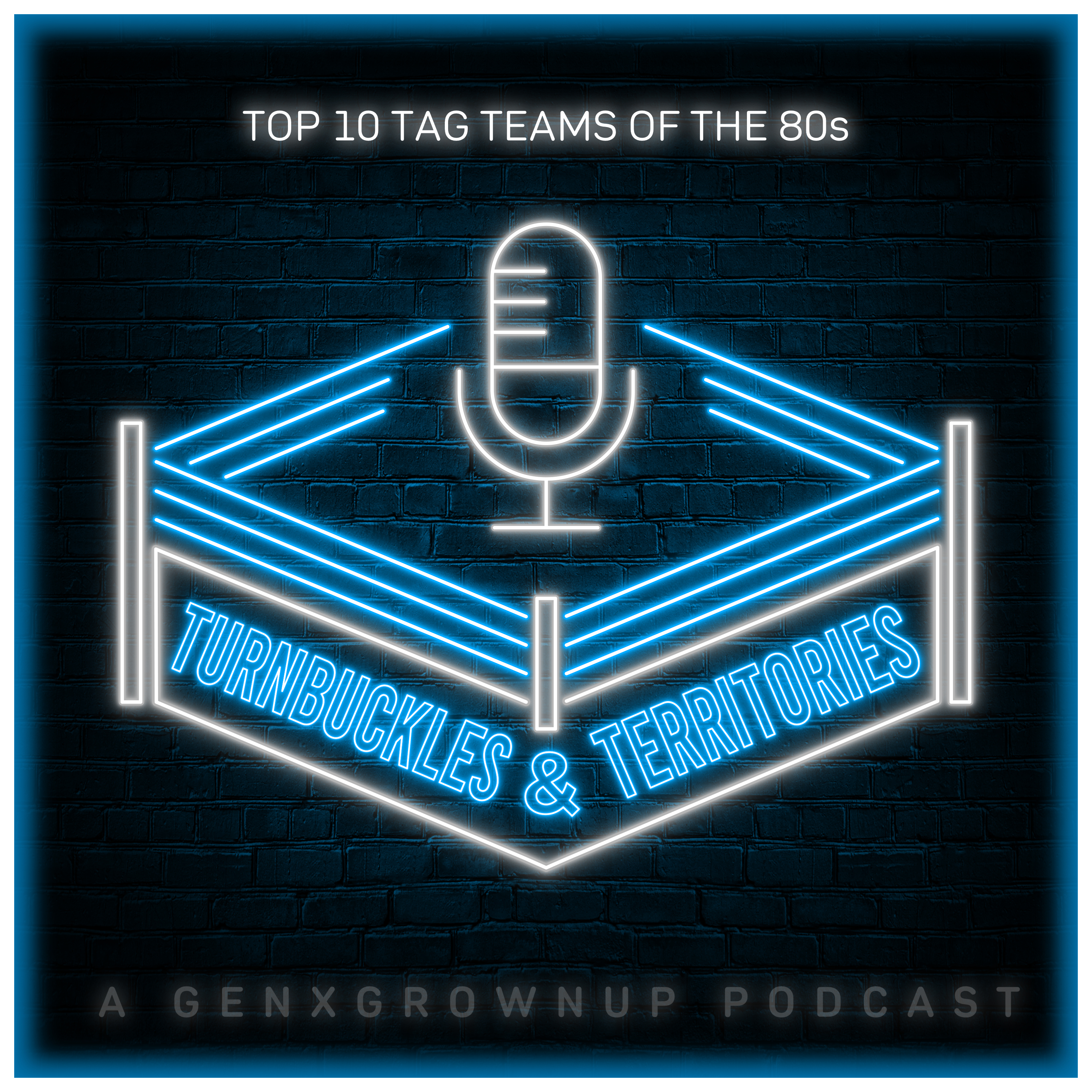 Top 10 Tag Teams Of The 80s episode artwork