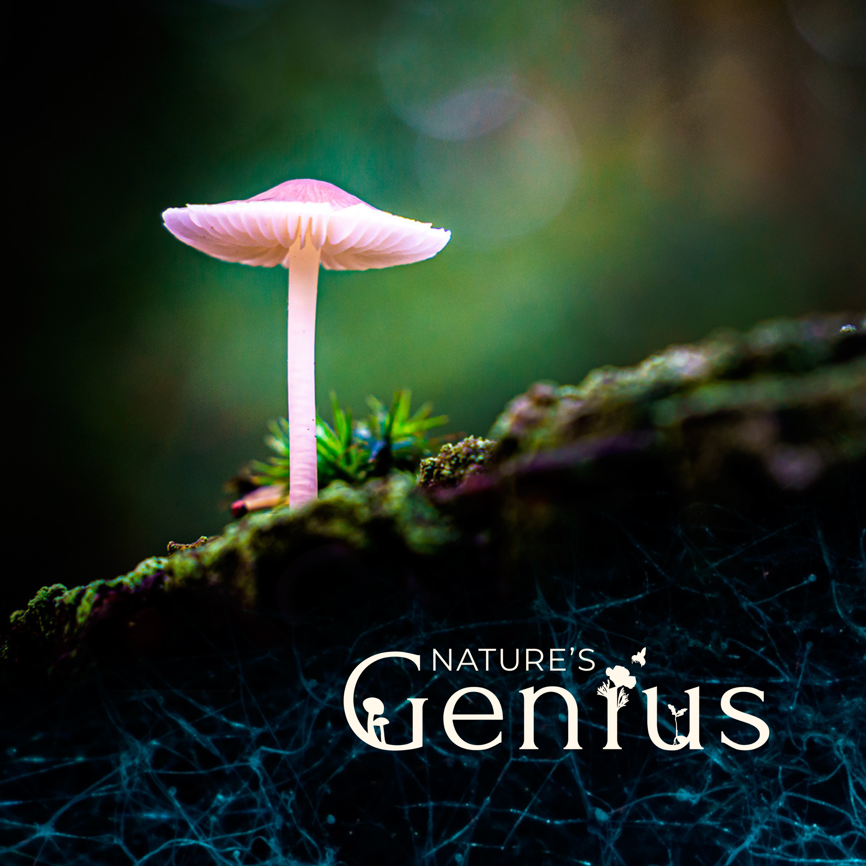 The Universe Beneath Our Feet: Mapping the Mycelial Web of Life